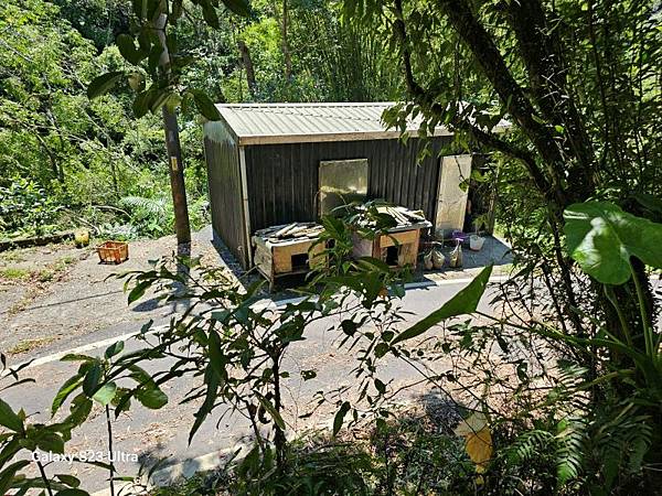 2024-08-03松仔嶺古道、石笋尖東南峰、石笋古道O走( 2024-08-03松仔嶺古道、石笋尖東南峰、石笋古道O走(