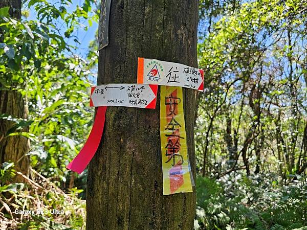 2024-08-03松仔嶺古道、石笋尖東南峰、石笋古道O走( 2024-08-03松仔嶺古道、石笋尖東南峰、石笋古道O走(