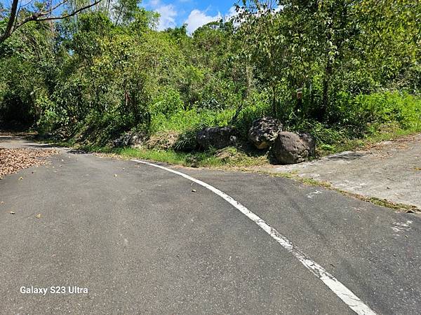 2024-08-03松仔嶺古道、石笋尖東南峰、石笋古道O走( 2024-08-03松仔嶺古道、石笋尖東南峰、石笋古道O走(