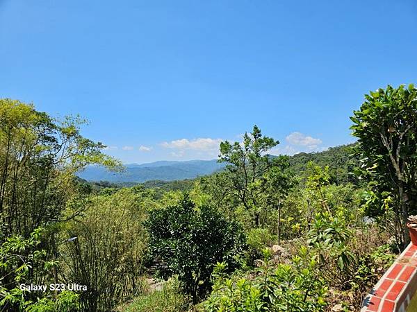 2024-08-03松仔嶺古道、石笋尖東南峰、石笋古道O走( 2024-08-03松仔嶺古道、石笋尖東南峰、石笋古道O走(