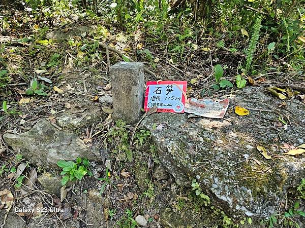 2024-08-03松仔嶺古道、石笋尖東南峰、石笋古道O走( 2024-08-03松仔嶺古道、石笋尖東南峰、石笋古道O走(