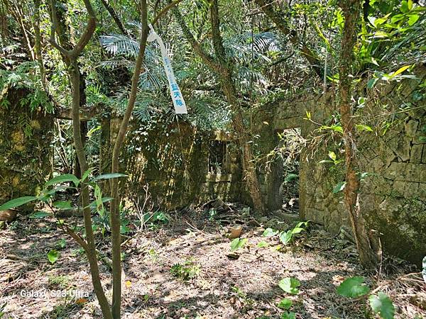 2024-08-03松仔嶺古道、石笋尖東南峰、石笋古道O走( 2024-08-03松仔嶺古道、石笋尖東南峰、石笋古道O走(