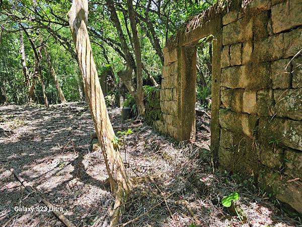 2024-08-03松仔嶺古道、石笋尖東南峰、石笋古道O走( 2024-08-03松仔嶺古道、石笋尖東南峰、石笋古道O走(