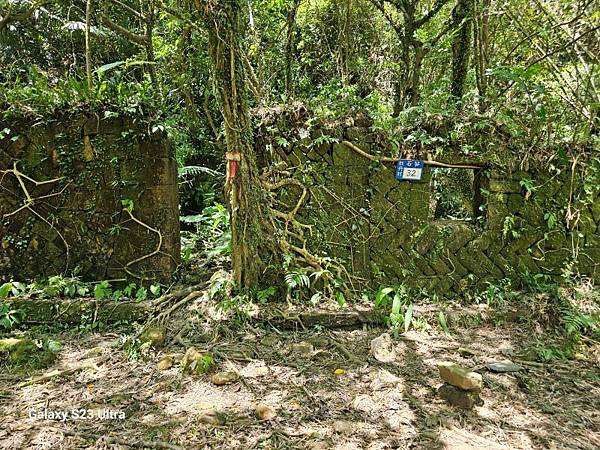 2024-08-03松仔嶺古道、石笋尖東南峰、石笋古道O走( 2024-08-03松仔嶺古道、石笋尖東南峰、石笋古道O走(