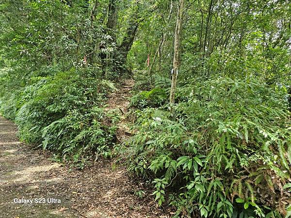 2024-08-10熊空瀑布、熊空林道
