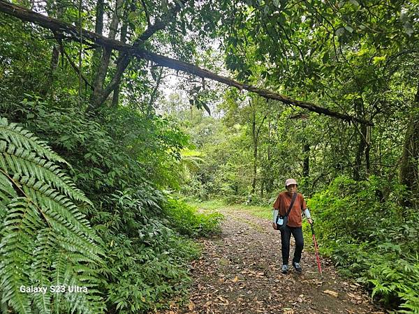 2024-08-10熊空瀑布、熊空林道