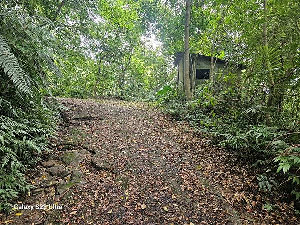 2024-08-10熊空瀑布、熊空林道
