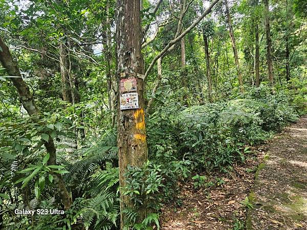 2024-08-10熊空瀑布、熊空林道