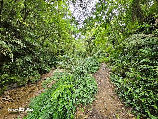 2024-08-10熊空瀑布、熊空林道