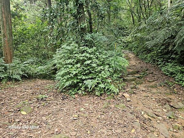 2024-08-10熊空瀑布、熊空林道