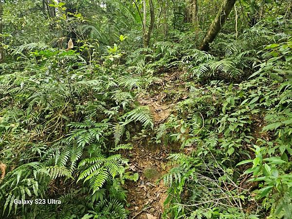 2024-08-10熊空瀑布、熊空林道