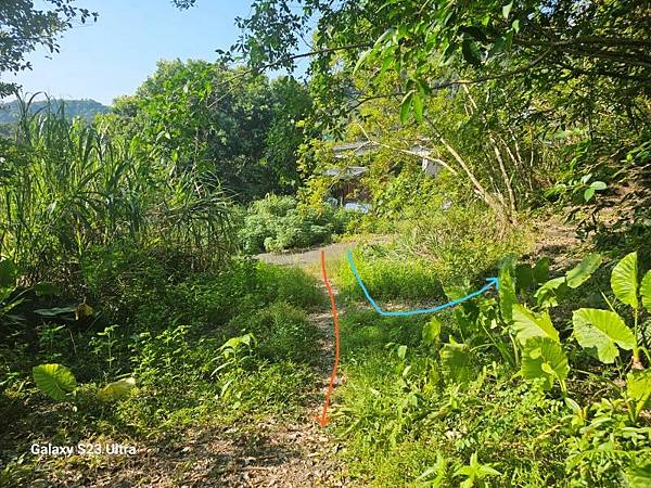 2024-09-01石厝坑山、瑪陵尖東北峰O走(1375) 2024-09-01石厝坑山、瑪陵尖東北峰O走(1375)
