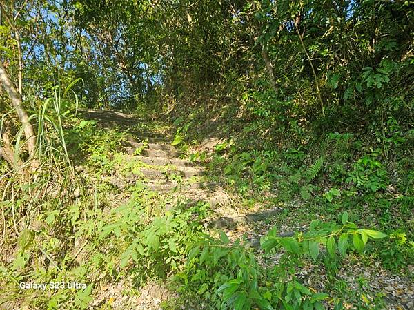 2024-09-01石厝坑山、瑪陵尖東北峰O走(1375) 2024-09-01石厝坑山、瑪陵尖東北峰O走(1375)