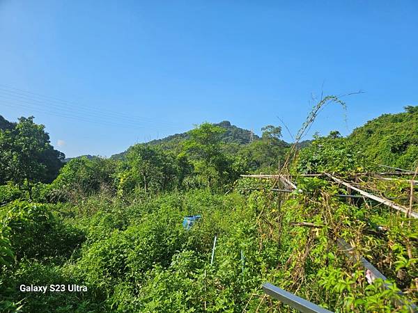 2024-09-01石厝坑山、瑪陵尖東北峰O走(1375) 2024-09-01石厝坑山、瑪陵尖東北峰O走(1375)