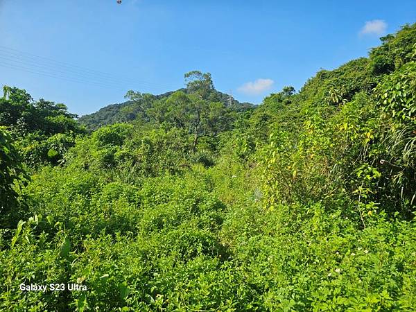 2024-09-01石厝坑山、瑪陵尖東北峰O走(1375) 2024-09-01石厝坑山、瑪陵尖東北峰O走(1375)