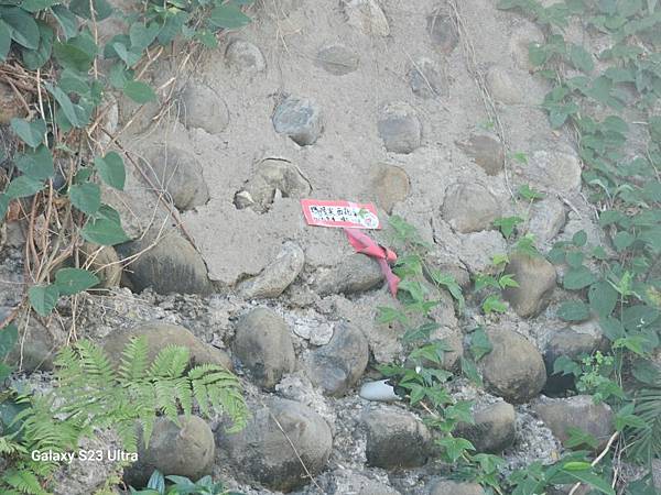 2024-09-01石厝坑山、瑪陵尖東北峰O走(1375) 2024-09-01石厝坑山、瑪陵尖東北峰O走(1375)