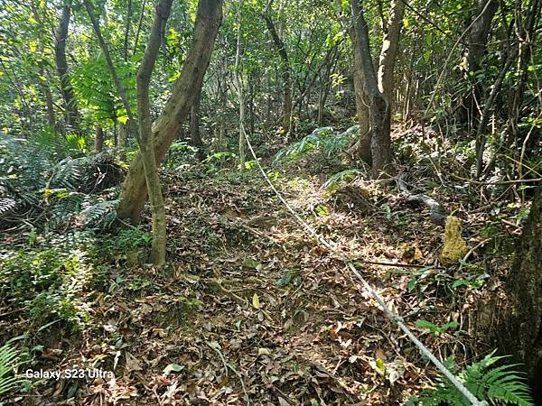 2024-09-01石厝坑山、瑪陵尖東北峰O走(1375) 2024-09-01石厝坑山、瑪陵尖東北峰O走(1375)
