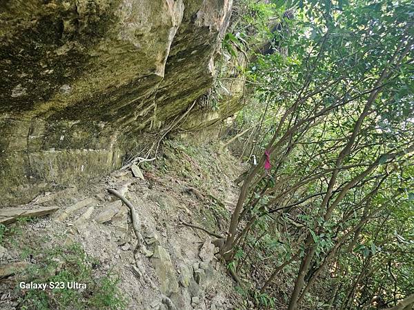 2024-09-01石厝坑山、瑪陵尖東北峰O走(1375) 2024-09-01石厝坑山、瑪陵尖東北峰O走(1375)