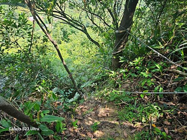 2024-09-01石厝坑山、瑪陵尖東北峰O走(1375) 2024-09-01石厝坑山、瑪陵尖東北峰O走(1375)