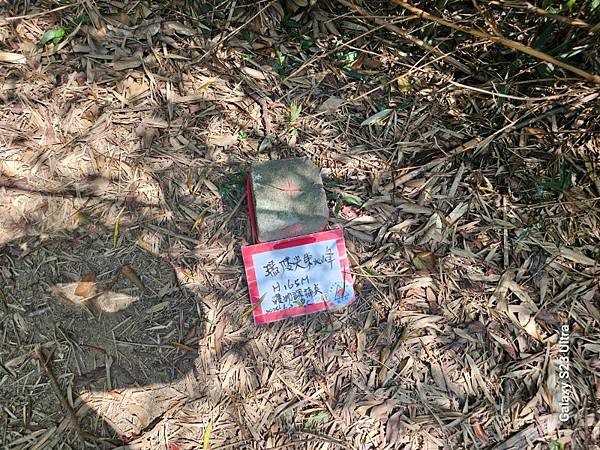 2024-09-01石厝坑山、瑪陵尖東北峰O走(1375) 2024-09-01石厝坑山、瑪陵尖東北峰O走(1375)