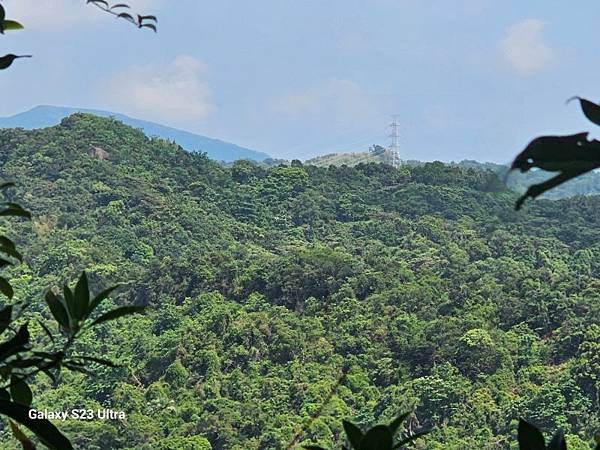 2024-09-01石厝坑山、瑪陵尖東北峰O走(1375) 2024-09-01石厝坑山、瑪陵尖東北峰O走(1375)