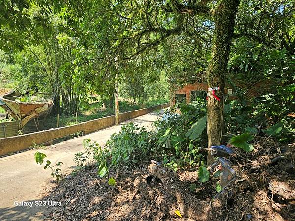 2024-09-01石厝坑山、瑪陵尖東北峰O走(1375) 2024-09-01石厝坑山、瑪陵尖東北峰O走(1375)