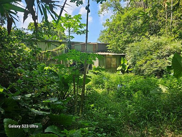 2024-09-01石厝坑山、瑪陵尖東北峰O走(1375) 2024-09-01石厝坑山、瑪陵尖東北峰O走(1375)