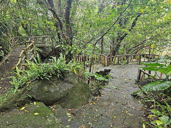 2024-11-09士林區天溪園生態教育中心