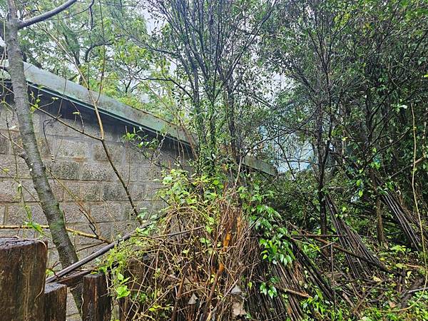 2024-11-09士林區天溪園生態教育中心