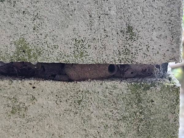 2024-11-09士林區天溪園生態教育中心