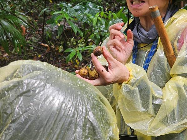 2024-11-09士林區天溪園生態教育中心