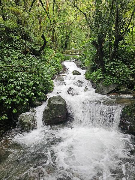 2024-11-09士林區天溪園生態教育中心