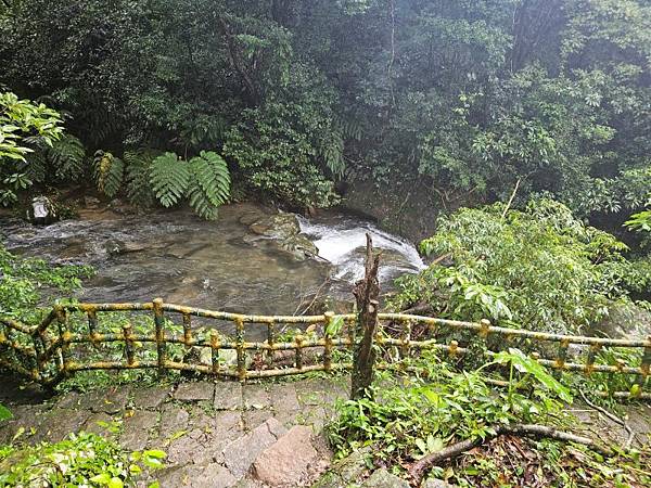 2024-11-09士林區天溪園生態教育中心