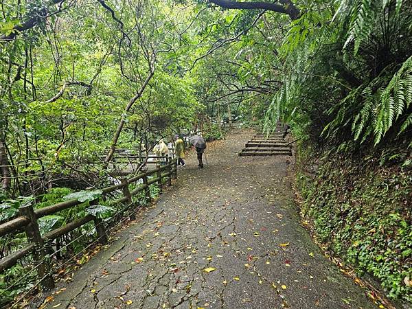 2024-11-09士林區天溪園生態教育中心