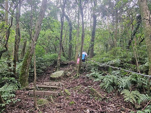 2025-01-01平溪鳥嘴尖