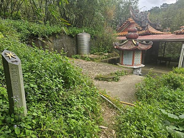 2025-01-07樹梅古道登拇指山