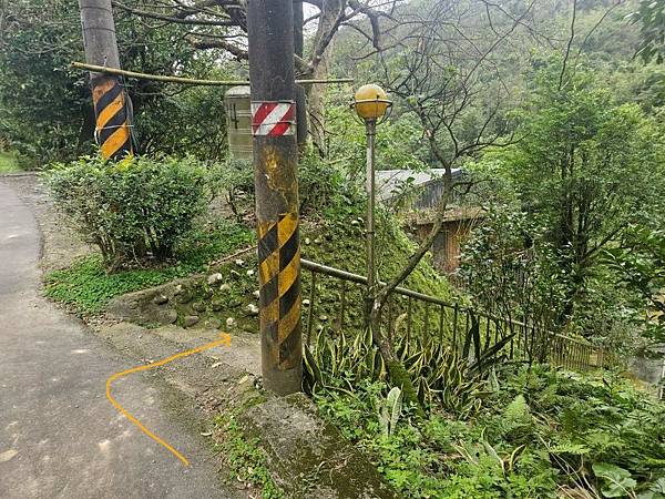 2025-01-07樹梅古道登拇指山