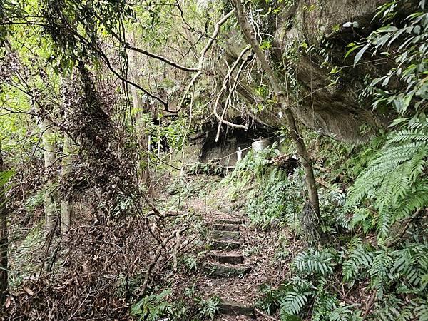 2025-01-07樹梅古道登拇指山
