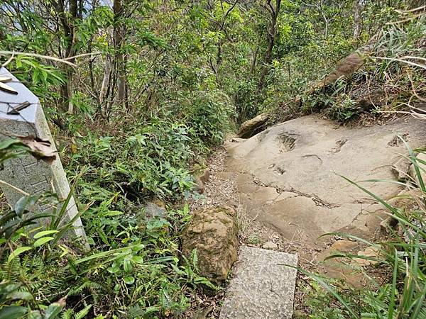 2025-01-07樹梅古道登拇指山