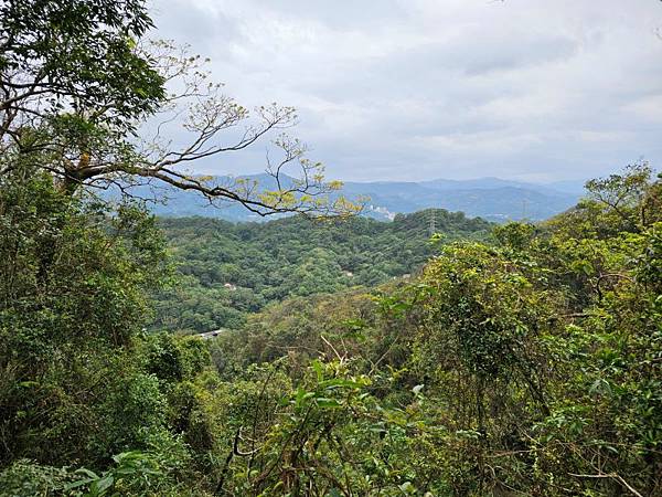 2025-01-07樹梅古道登拇指山