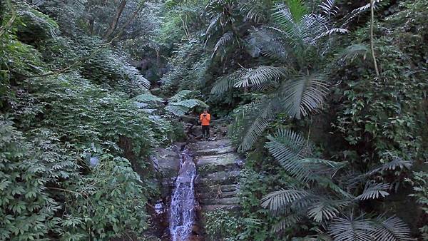 DJI_20250112143634_0007_D_2025-01-12_16-59-00_截图.jpg DJI_20250112143634_0007_D_2025-01-12_16-59-00_截图.jpg