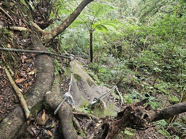 2025-01-24平溪虎嘴口大峭壁