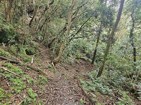 2025-01-24平溪虎嘴口大峭壁