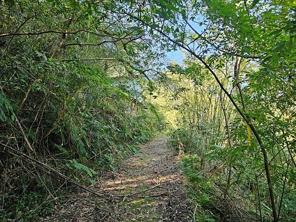 2025-02-11新店雙坑山(1419)