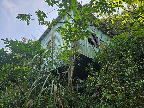 2025-02-11新店雙坑山(1419)