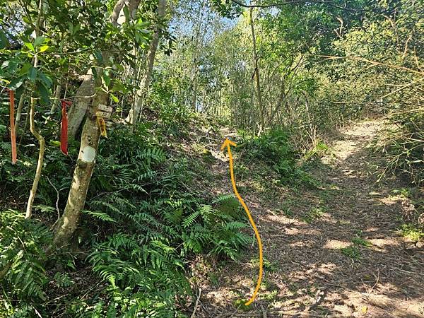 2025-02-11新店雙坑山(1419)