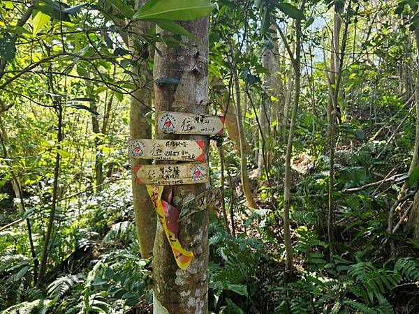 2025-02-11新店雙坑山(1419)