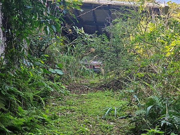 2025-02-11新店雙坑山(1419)