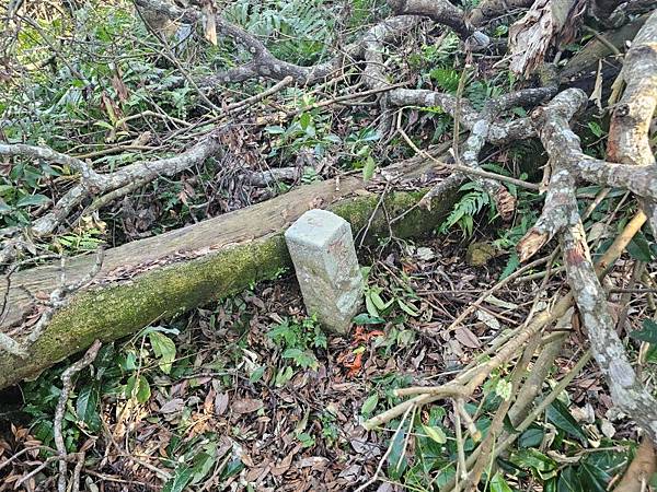 2025-02-11新店雙坑山(1419)