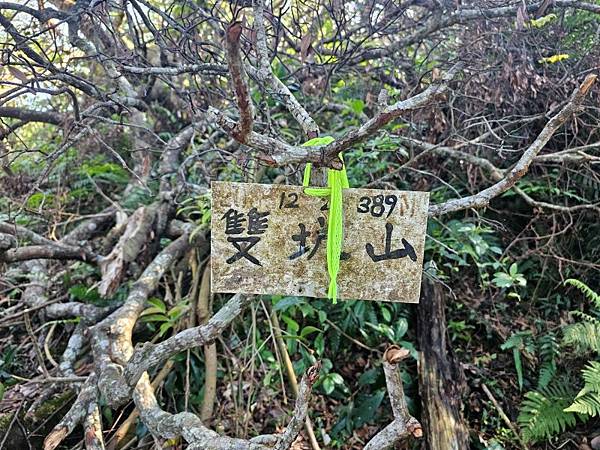 2025-02-11新店雙坑山(1419)